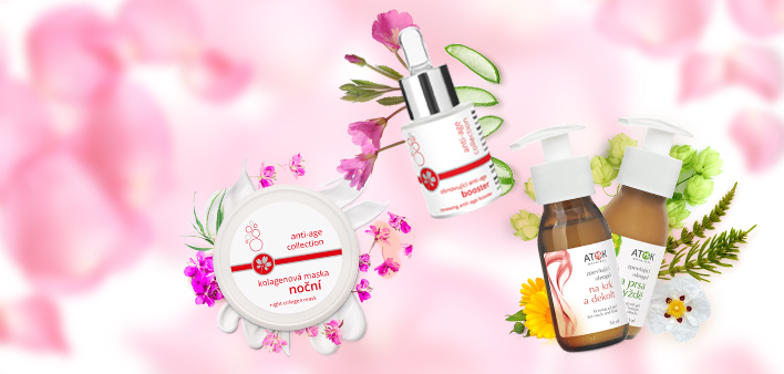 kategorie-novinky-11-2025-2